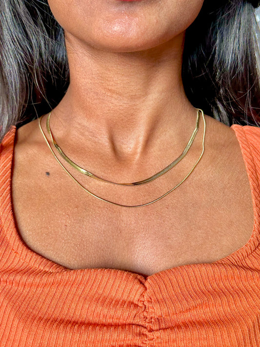 RoundHerring Layered Necklace